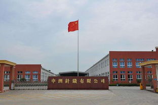 申洲國際半年業(yè)績(jī)?cè)鍪?0.8%，生產(chǎn)效率提升成關(guān)鍵驅(qū)動(dòng)力，運(yùn)動(dòng)類產(chǎn)品銷售額占67.9%